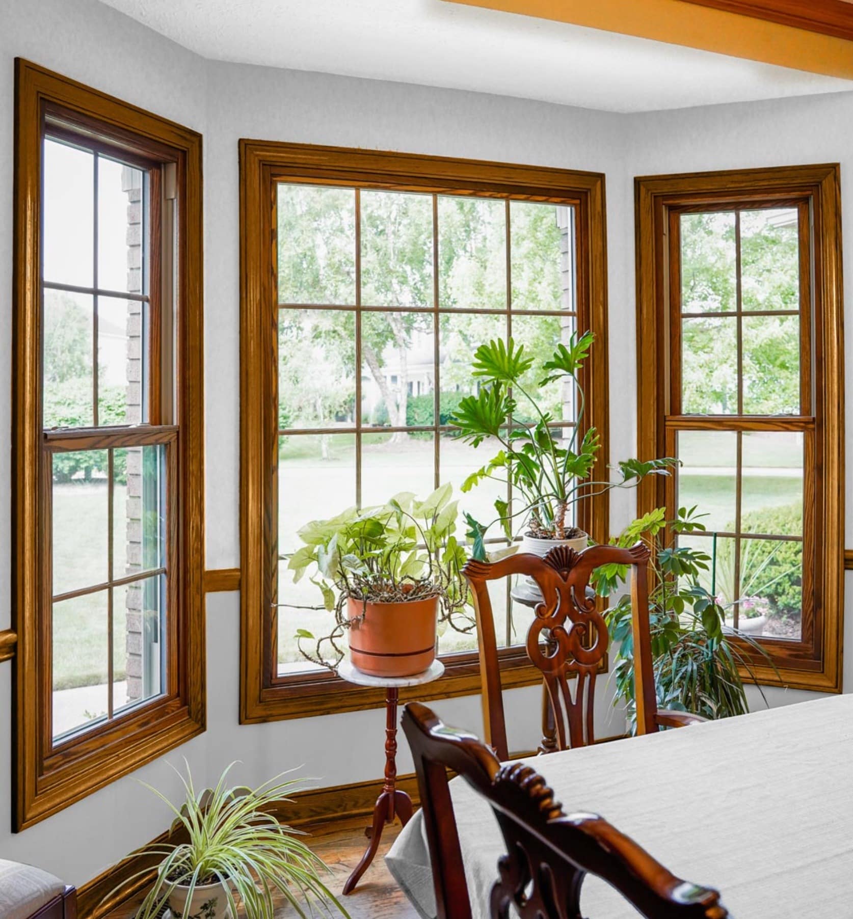 Wood-Clad Vinyl Windows 